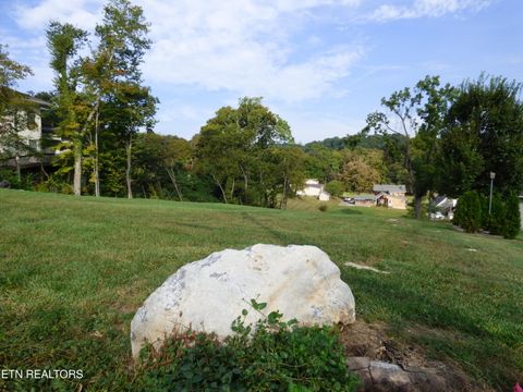 Tiny photo for 145 W Meeting St, Dandridge, TN 37725 (MLS # 1315680)