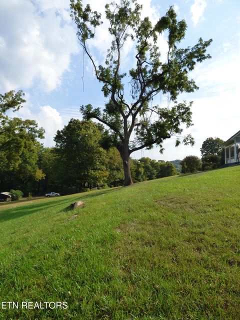 Tiny photo for 145 W Meeting St, Dandridge, TN 37725 (MLS # 1315680)
