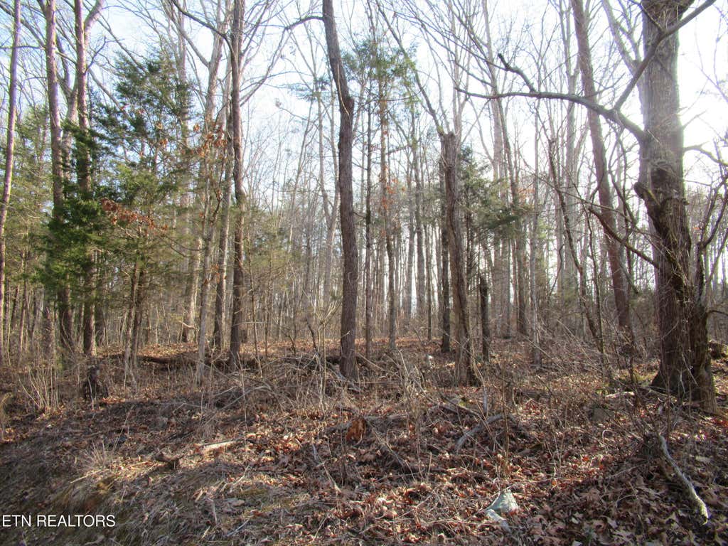 Photo of Tomotley Rd, Maryville, TN 37801 (MLS # 1350709)