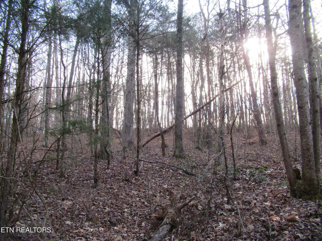 Photo of Tomotley Rd, Maryville, TN 37801 (MLS # 1350709)