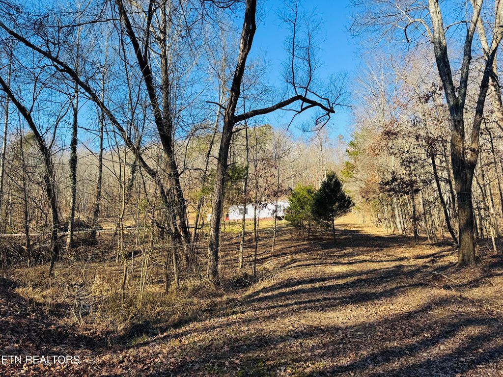 Photo of 253 Little Johnson Valley Rd, Kingston, TN 37763 (MLS # 1325742)