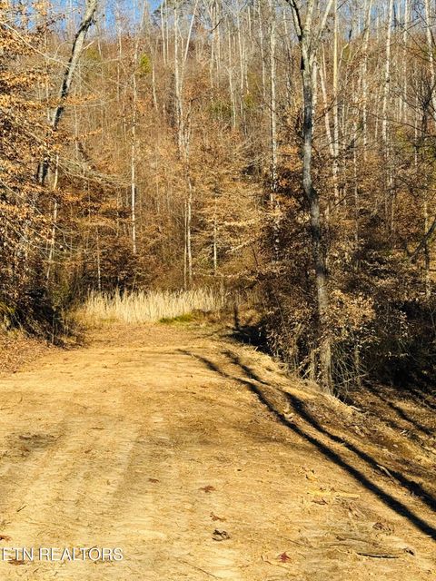 Tiny photo for 253 Little Johnson Valley Rd, Kingston, TN 37763 (MLS # 1325742)