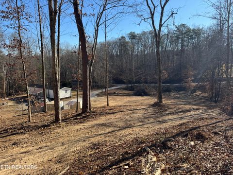 Tiny photo for 253 Little Johnson Valley Rd, Kingston, TN 37763 (MLS # 1325742)