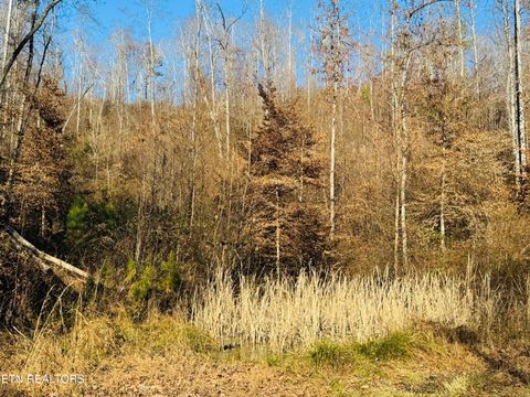 Tiny photo for 253 Little Johnson Valley Rd, Kingston, TN 37763 (MLS # 1325742)