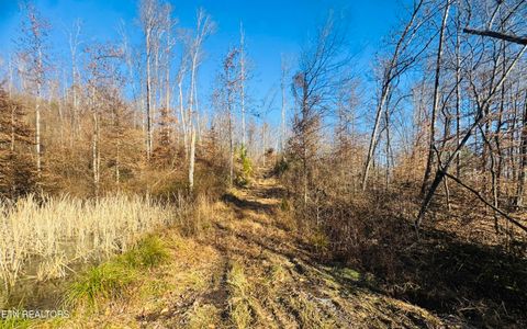 Tiny photo for 253 Little Johnson Valley Rd, Kingston, TN 37763 (MLS # 1325742)
