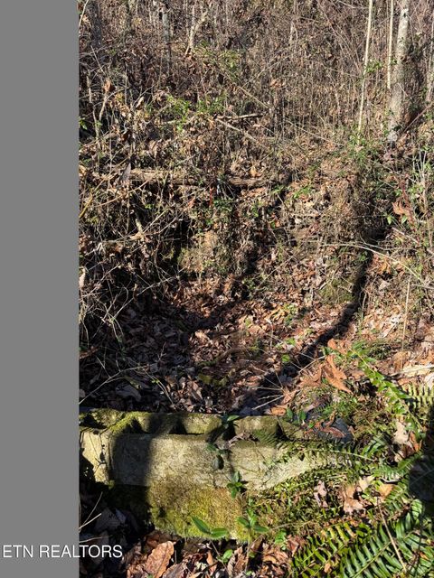 Tiny photo for 253 Little Johnson Valley Rd, Kingston, TN 37763 (MLS # 1325742)
