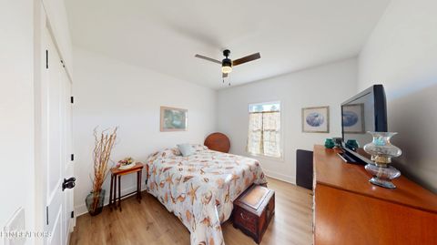 Tiny photo for 325 Henderson Rd, Evensville, TN 37332 (MLS # 1326450)