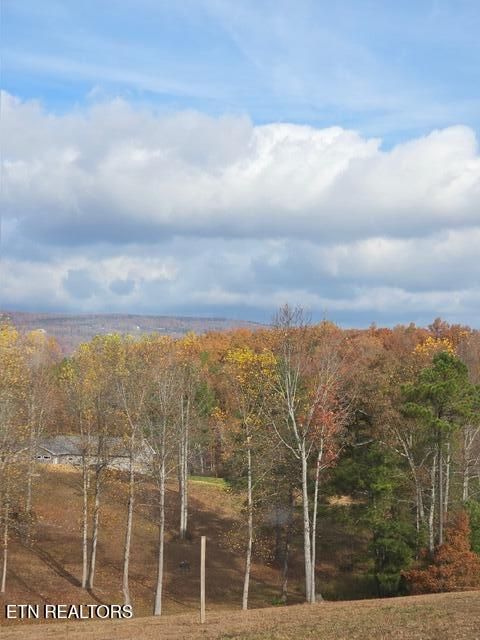 Tiny photo for 325 Henderson Rd, Evensville, TN 37332 (MLS # 1326450)