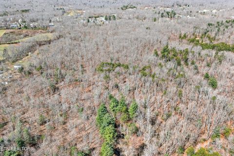 Tiny photo for 3710 Lantana Rd, Crossville, TN 38572 (MLS # 1334702)