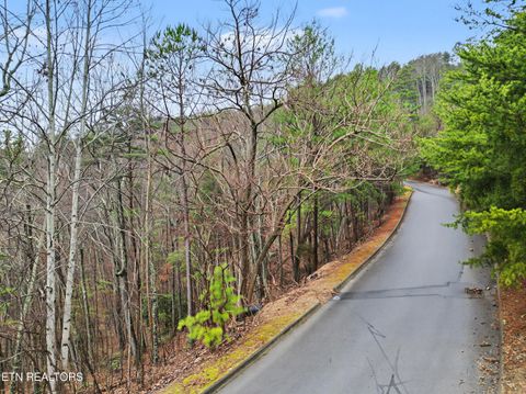 Tiny photo for Autumn Ridge Way, Sevierville, TN 37876 (MLS # 1330037)