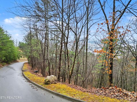 Tiny photo for Autumn Ridge Way, Sevierville, TN 37876 (MLS # 1330037)