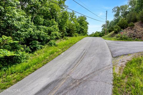Lot 111 Tranquility Tr Dandridge TN 37725
