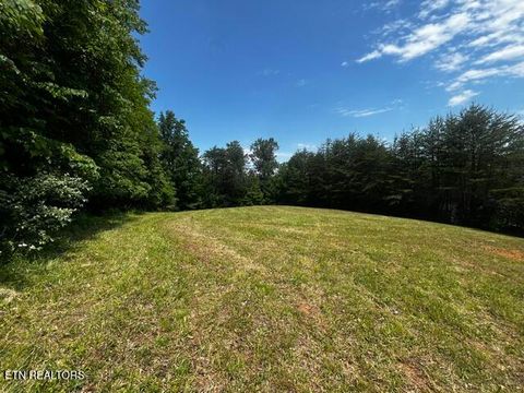Tiny photo for 759 Emerald Ave, Kodak, TN 37764 (MLS # 1340979)