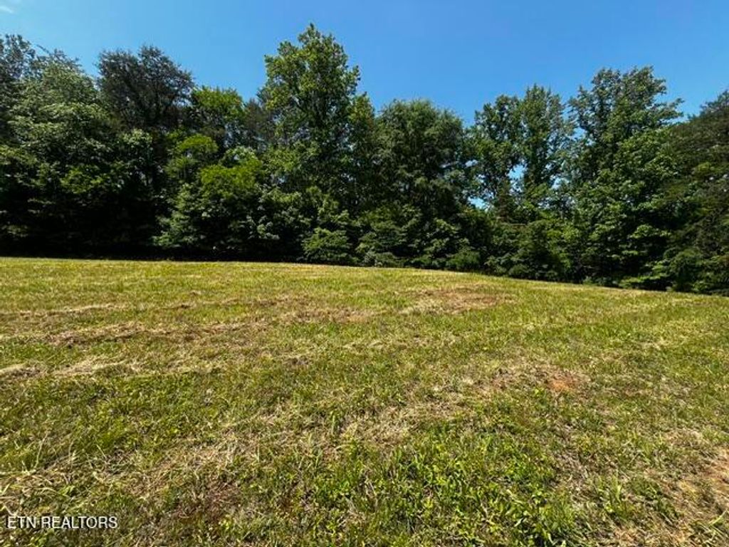Photo of 759 Emerald Ave, Kodak, TN 37764 (MLS # 1340979)