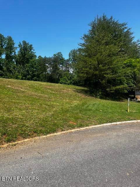 Photo of 759 Emerald Ave, Kodak, TN 37764 (MLS # 1340979)