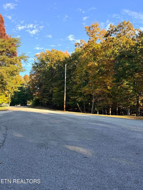 Tiny photo for 66 Bingham Terrace, Fairfield Glade, TN 38558 (MLS # 1360412)