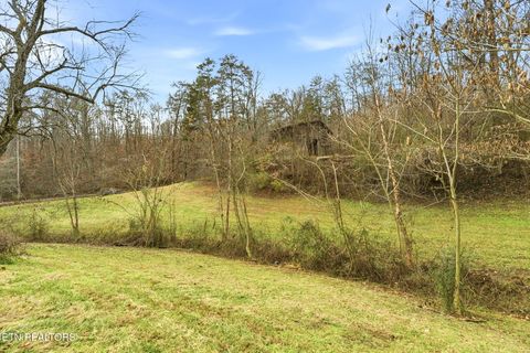 Tiny photo for 184 Henson Lane, Clinton, TN 37716 (MLS # 1326247)