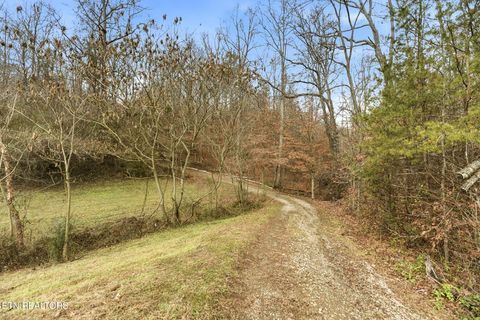 Tiny photo for 184 Henson Lane, Clinton, TN 37716 (MLS # 1326247)