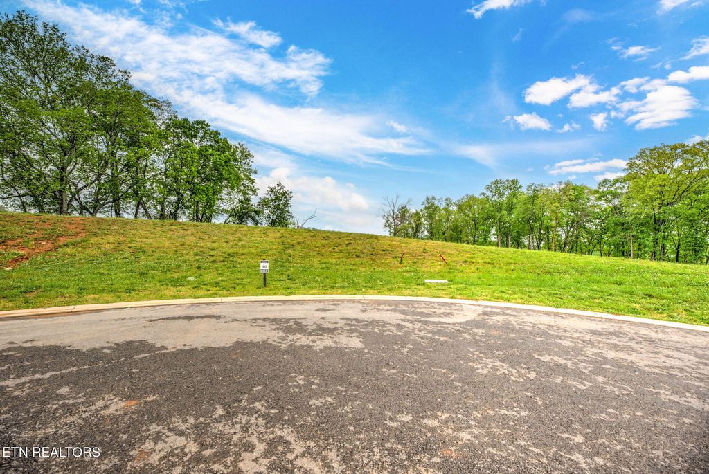 Photo of 112 Silver Fox Way, Loudon, TN 37774 (MLS # 1296302)