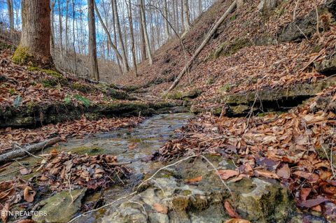 Photo of 624 Hutchins Bend Rd, Sparta, TN 38583 (MLS # 1330446)