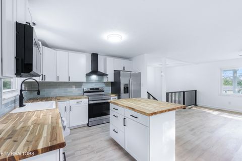 Tiny photo for 140 Charles Place, Harriman, TN 37748 (MLS # 1330163)