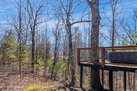 Tiny photo for 2760 Hawks View Tr, Pigeon Forge, TN 37876 (MLS # 1348078)