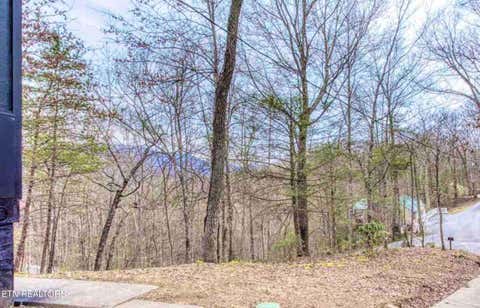Tiny photo for 2760 Hawks View Tr, Pigeon Forge, TN 37876 (MLS # 1348078)