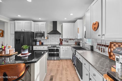 Tiny photo for 318 Garden Lane, Dandridge, TN 37725 (MLS # 1336171)