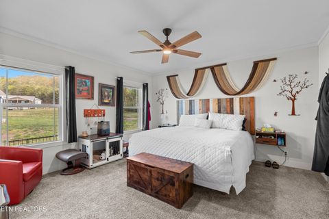 Tiny photo for 318 Garden Lane, Dandridge, TN 37725 (MLS # 1336171)