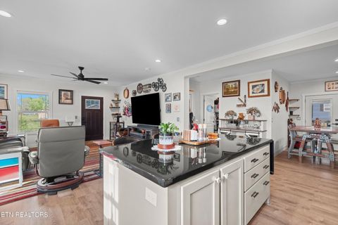 Tiny photo for 318 Garden Lane, Dandridge, TN 37725 (MLS # 1336171)