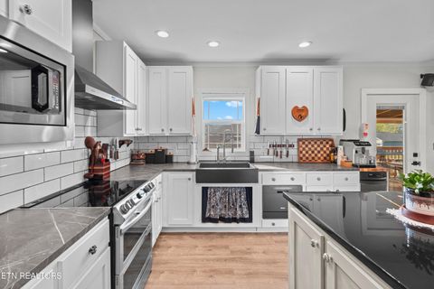 Tiny photo for 318 Garden Lane, Dandridge, TN 37725 (MLS # 1336171)