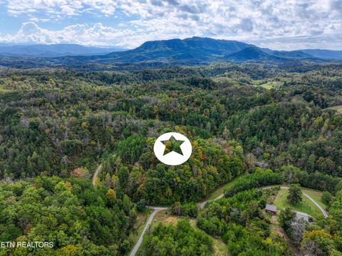 2521 Audley Moore Rd Sevierville TN 37876