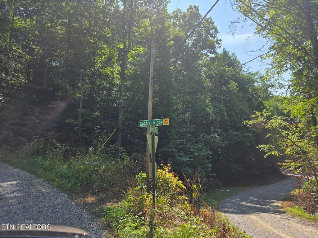Photo of Waters End Rd, Walland, TN 37886 (MLS # 1307852)