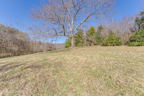 Tiny photo for 292 Burkhart Rd, Rutledge, TN 37861 (MLS # 1328113)