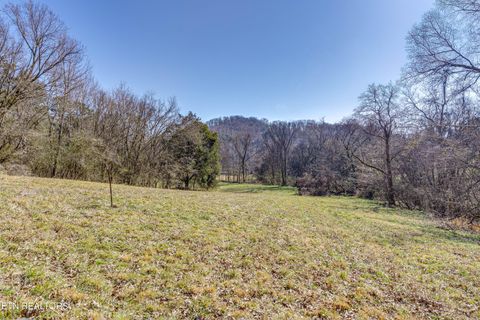 Tiny photo for 292 Burkhart Rd, Rutledge, TN 37861 (MLS # 1328113)
