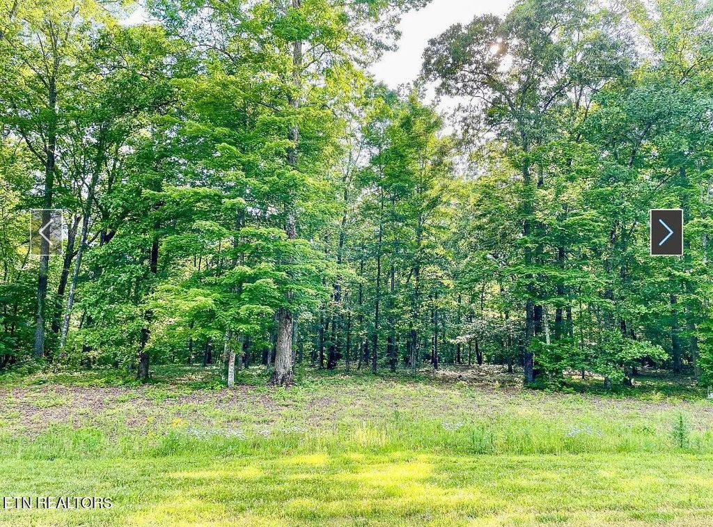 Photo of 109 W Mountain Drive, Rockwood, TN 37854 (MLS # 1303375)