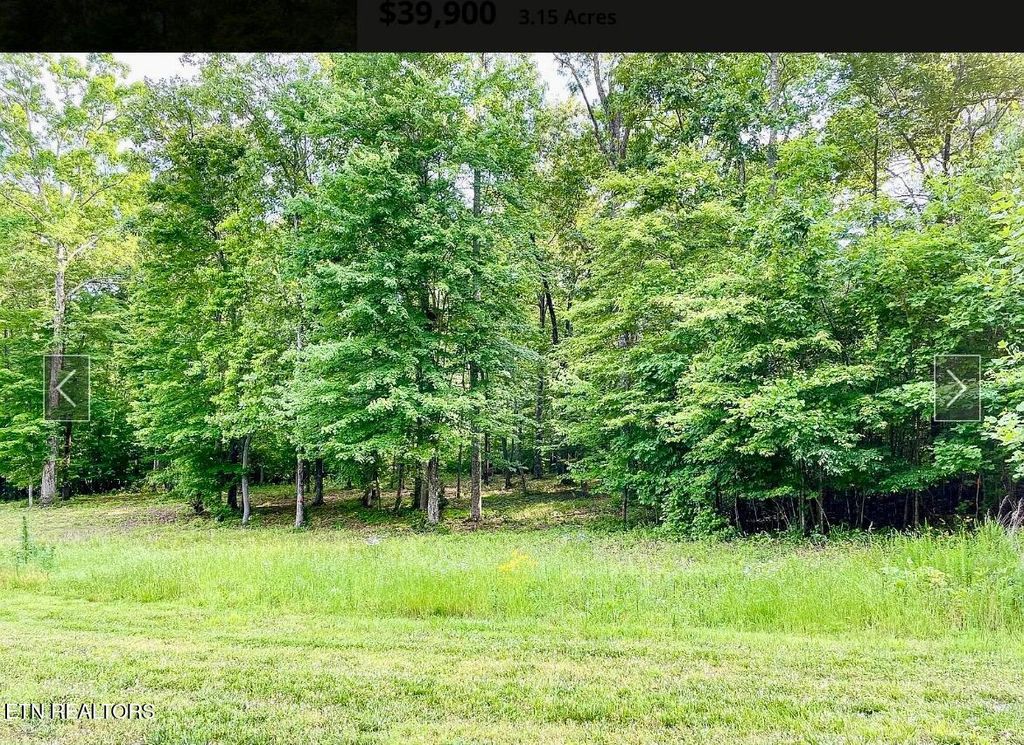 Photo of 109 W Mountain Drive, Rockwood, TN 37854 (MLS # 1303375)