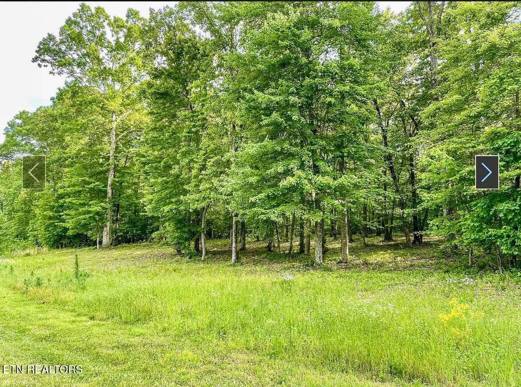 Photo of 109 W Mountain Drive, Rockwood, TN 37854 (MLS # 1303375)