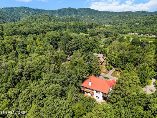 122 LAKESIDE TRCE, TOWNSEND, TN 37882 - Image 027b7e3e539528175e1df5bf320a03e4/3341625583