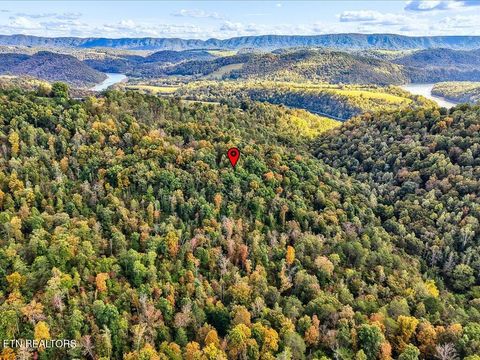 Tiny photo for 0 Claude Bolden Lane, Tazewell, TN 37879 (MLS # 1318482)
