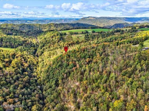 Tiny photo for 0 Claude Bolden Lane, Tazewell, TN 37879 (MLS # 1318482)