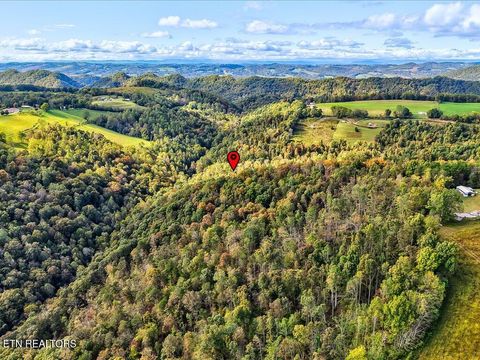 Tiny photo for 0 Claude Bolden Lane, Tazewell, TN 37879 (MLS # 1318482)