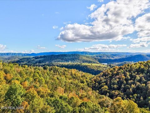 Tiny photo for 0 Claude Bolden Lane, Tazewell, TN 37879 (MLS # 1318482)