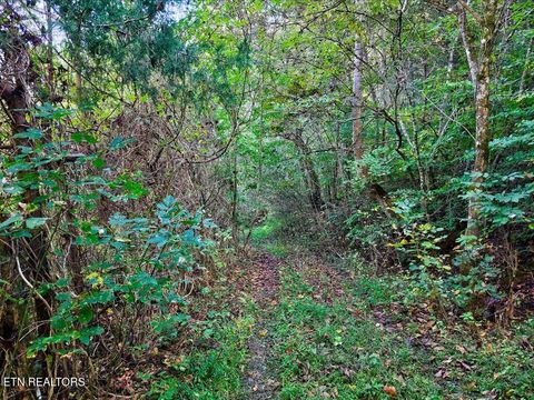 Tiny photo for 0 Claude Bolden Lane, Tazewell, TN 37879 (MLS # 1318482)