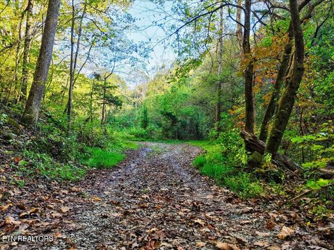 Tiny photo for 0 Claude Bolden Lane, Tazewell, TN 37879 (MLS # 1318482)