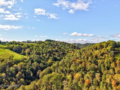 Tiny photo for 0 Claude Bolden Lane, Tazewell, TN 37879 (MLS # 1318482)