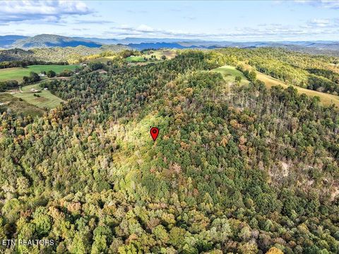 Tiny photo for 0 Claude Bolden Lane, Tazewell, TN 37879 (MLS # 1318482)