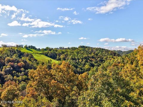 Tiny photo for 0 Claude Bolden Lane, Tazewell, TN 37879 (MLS # 1318482)