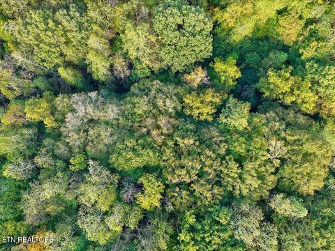 Tiny photo for 0 Claude Bolden Lane, Tazewell, TN 37879 (MLS # 1318482)