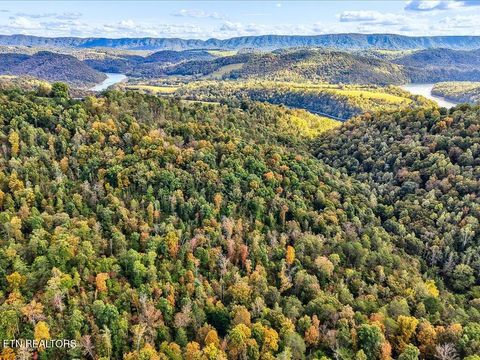 Tiny photo for 0 Claude Bolden Lane, Tazewell, TN 37879 (MLS # 1318482)